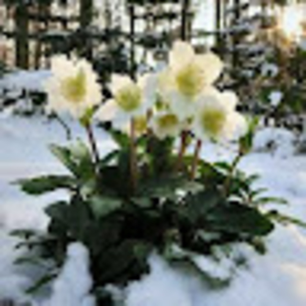 Meet your Posher, Marina